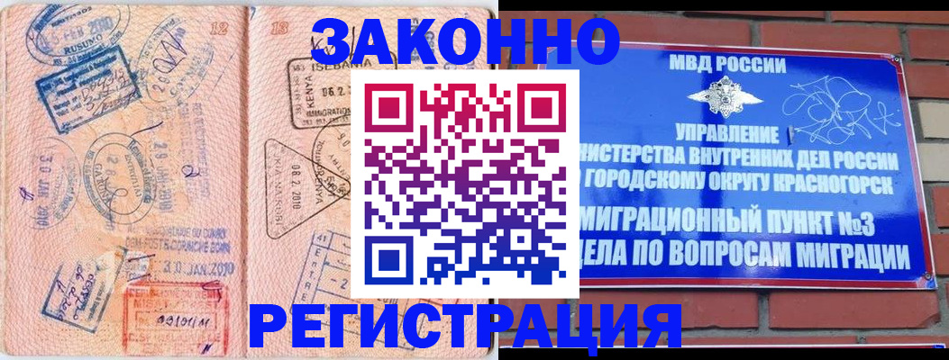 прописка иностранных граждан в Оленегорске